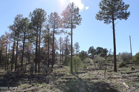 Tiny photo for 1663 Cactus Flower Road, Show Low, AZ 85901 (MLS # 258404)