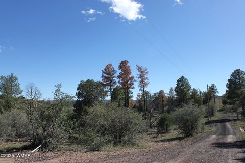 Photo of 1663 Cactus Flower Road, Show Low, AZ 85901 (MLS # 258404)