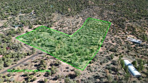 Tiny photo for 1663 Cactus Flower Road, Show Low, AZ 85901 (MLS # 258404)