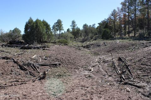 Tiny photo for 1663 Cactus Flower Road, Show Low, AZ 85901 (MLS # 258404)
