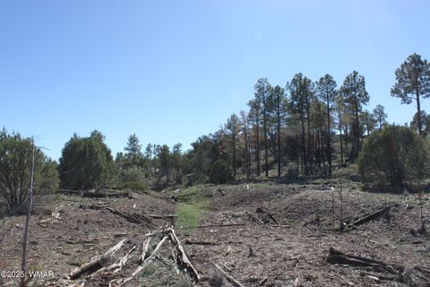 Tiny photo for 1663 Cactus Flower Road, Show Low, AZ 85901 (MLS # 258404)