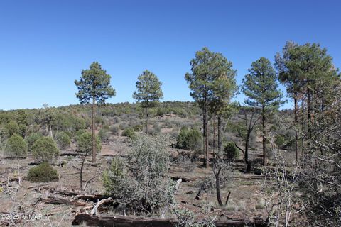 Tiny photo for 1663 Cactus Flower Road, Show Low, AZ 85901 (MLS # 258404)