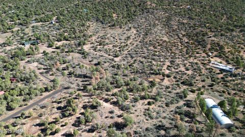 Tiny photo for 1663 Cactus Flower Road, Show Low, AZ 85901 (MLS # 258404)