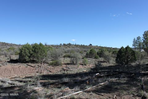 Tiny photo for 1663 Cactus Flower Road, Show Low, AZ 85901 (MLS # 258404)