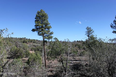 Tiny photo for 1663 Cactus Flower Road, Show Low, AZ 85901 (MLS # 258404)