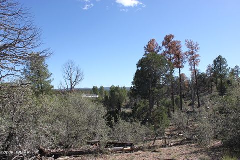 Tiny photo for 1663 Cactus Flower Road, Show Low, AZ 85901 (MLS # 258404)