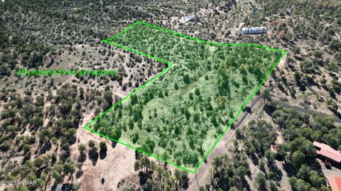 Tiny photo for 1663 Cactus Flower Road, Show Low, AZ 85901 (MLS # 258404)