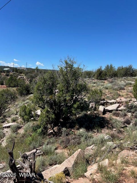 Photo of 2682 Old School House Road, Show Low, AZ 85901 (MLS # 263012)