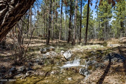 Tiny photo for 961 S Ginnala Lane, Show Low, AZ 85901 (MLS # 260241)