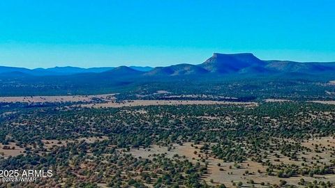 Tiny photo for 0 Johnny Ridge Rd 37 Acres, Seligman, AZ 86337 (MLS # 258648)