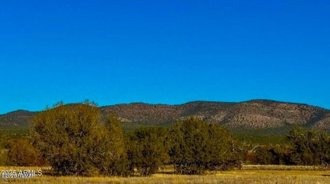 Tiny photo for 0 Johnny Ridge Rd 37 Acres, Seligman, AZ 86337 (MLS # 258648)