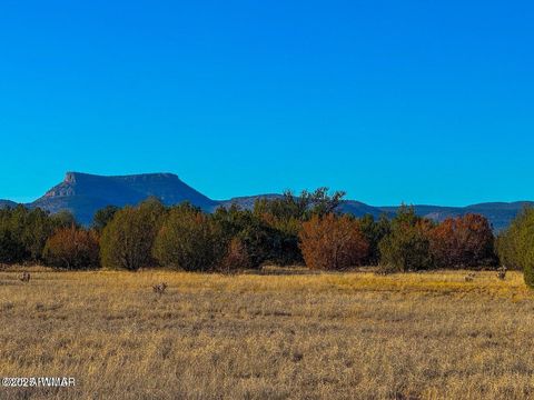 Photo of 0 Johnny Ridge Rd 37 Acres, Seligman, AZ 86337 (MLS # 258648)