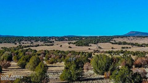 Tiny photo for 0 Johnny Ridge Rd 37 Acres, Seligman, AZ 86337 (MLS # 258648)