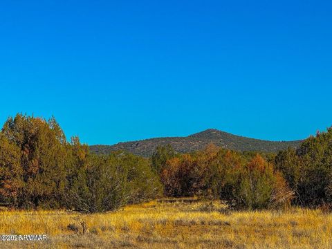 Tiny photo for 0 Johnny Ridge Rd 37 Acres, Seligman, AZ 86337 (MLS # 258648)