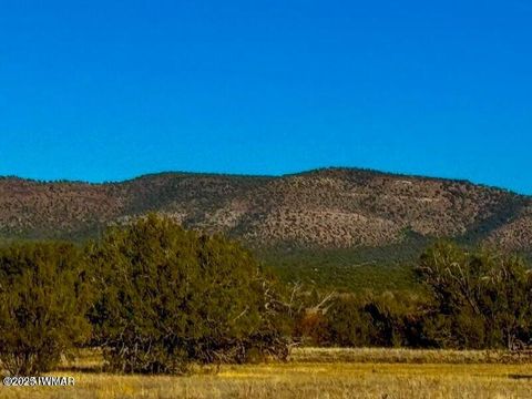 Tiny photo for 0 Johnny Ridge Rd 37 Acres, Seligman, AZ 86337 (MLS # 258648)