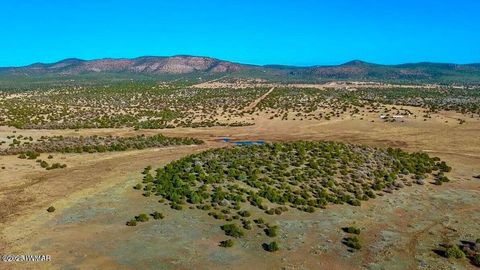 Tiny photo for 0 Johnny Ridge Rd 37 Acres, Seligman, AZ 86337 (MLS # 258648)