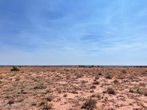 Photo of 8191 E Concho Highway Parcel D Hwy #Parcel D, Snowflake, AZ 85937 (MLS # 256782)