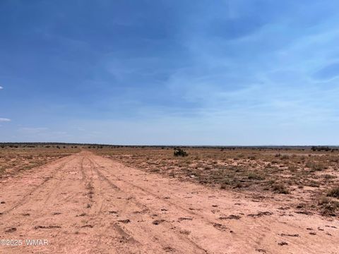 Tiny photo for 8191 E Concho Highway Parcel D Hwy #Parcel D, Snowflake, AZ 85937 (MLS # 256782)