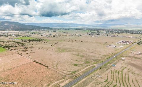Tiny photo for TBD TBD Highway 60, Springerville, AZ 85938 (MLS # 251563)