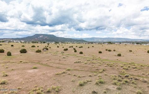 Tiny photo for TBD TBD Highway 60, Springerville, AZ 85938 (MLS # 251563)
