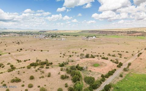 Tiny photo for TBD TBD Highway 60, Springerville, AZ 85938 (MLS # 251563)