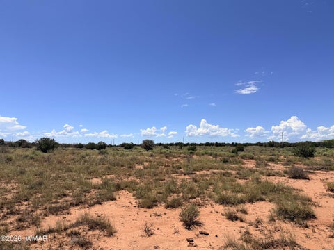 Tiny photo for 020P White Antelope Road, Snowflake, AZ 85937 (MLS # 262849)