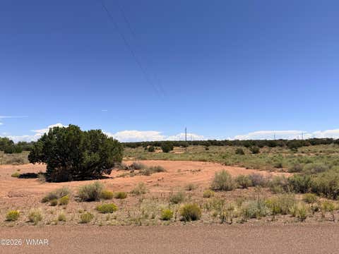 Tiny photo for 020P White Antelope Road, Snowflake, AZ 85937 (MLS # 262849)