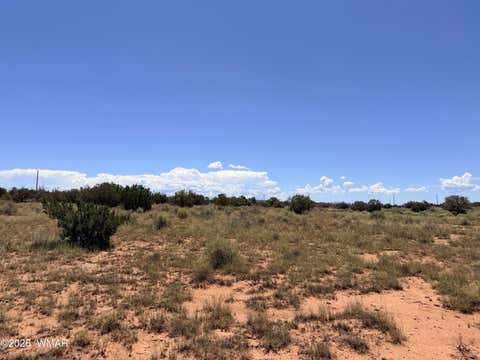 Tiny photo for 020P White Antelope Road, Snowflake, AZ 85937 (MLS # 262849)