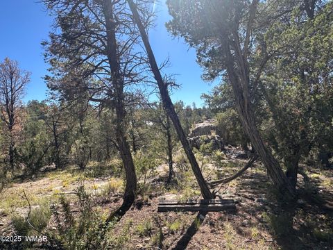 Tiny photo for 3673 Pine Rim Drive, Overgaard, AZ 85933 (MLS # 258119)