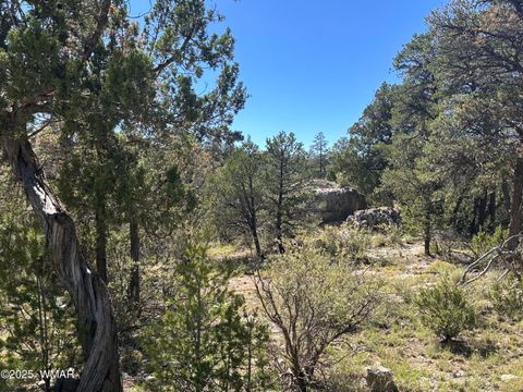 Tiny photo for 3673 Pine Rim Drive, Overgaard, AZ 85933 (MLS # 258119)