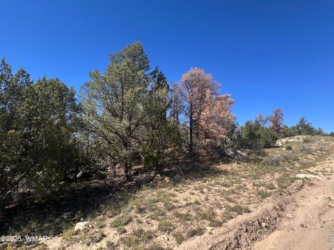 Tiny photo for 3673 Pine Rim Drive, Overgaard, AZ 85933 (MLS # 258119)