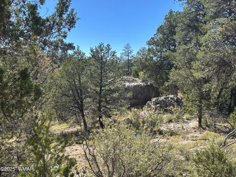 Photo of 3673 Pine Rim Drive, Overgaard, AZ 85933 (MLS # 258119)