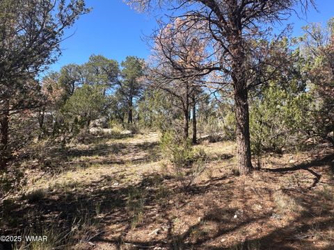 Tiny photo for 3673 Pine Rim Drive, Overgaard, AZ 85933 (MLS # 258119)