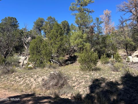 Tiny photo for 3673 Pine Rim Drive, Overgaard, AZ 85933 (MLS # 258119)