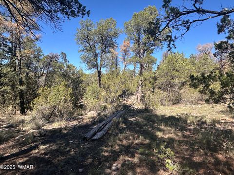 Tiny photo for 3673 Pine Rim Drive, Overgaard, AZ 85933 (MLS # 258119)