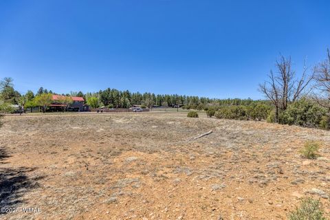 Tiny photo for XXX Larson Road, Lakeside, AZ 85929 (MLS # 256092)