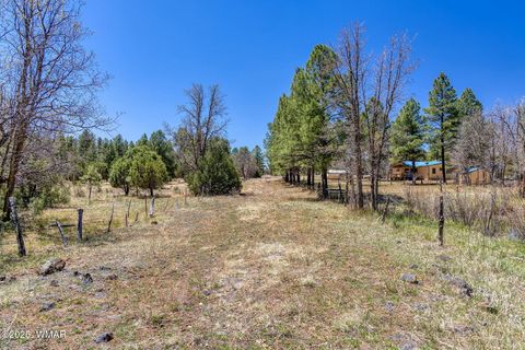 Tiny photo for XXX Larson Road, Lakeside, AZ 85929 (MLS # 256092)