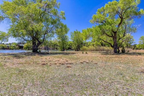 Tiny photo for XXX Larson Road, Lakeside, AZ 85929 (MLS # 256092)