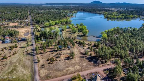 Tiny photo for XXX Larson Road, Lakeside, AZ 85929 (MLS # 256092)