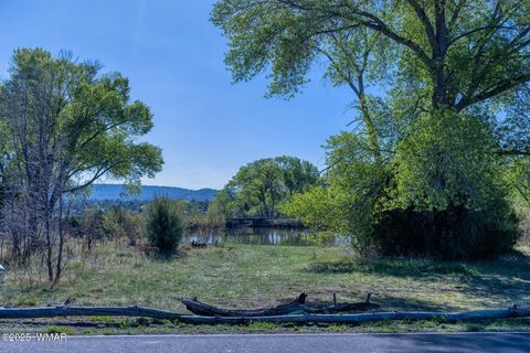 Tiny photo for XXX Larson Road, Lakeside, AZ 85929 (MLS # 256092)