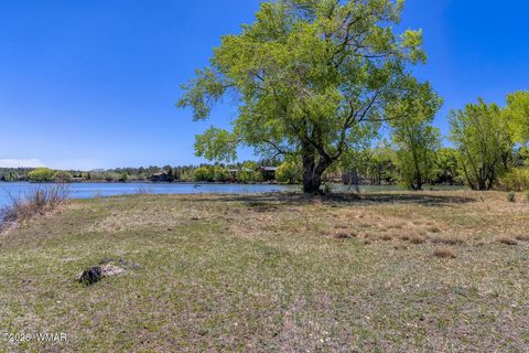 Tiny photo for XXX Larson Road, Lakeside, AZ 85929 (MLS # 256092)