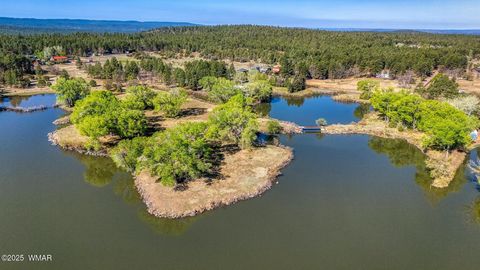 Tiny photo for XXX Larson Road, Lakeside, AZ 85929 (MLS # 256092)