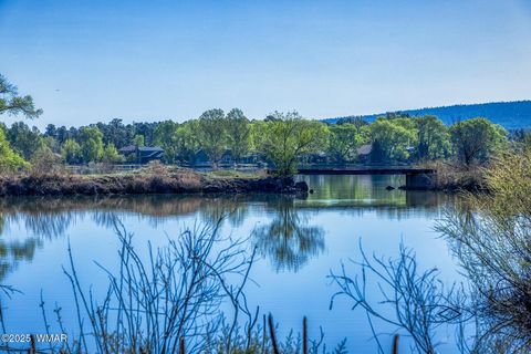 Tiny photo for XXX Larson Road, Lakeside, AZ 85929 (MLS # 256092)