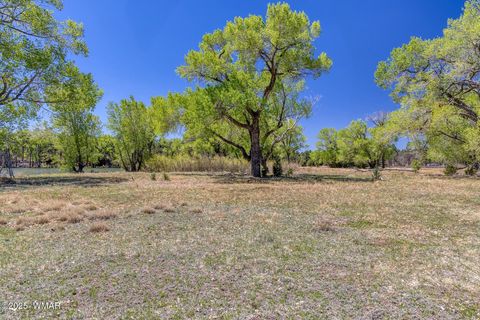 Tiny photo for XXX Larson Road, Lakeside, AZ 85929 (MLS # 256092)