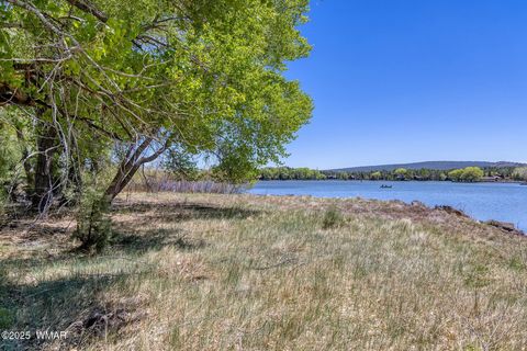 Tiny photo for XXX Larson Road, Lakeside, AZ 85929 (MLS # 256092)