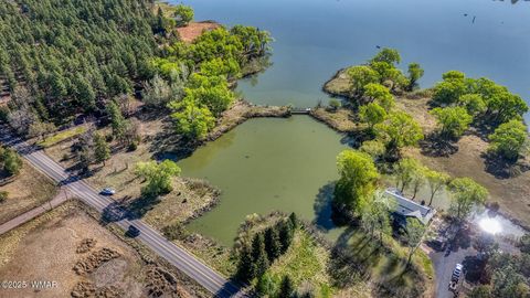 Tiny photo for XXX Larson Road, Lakeside, AZ 85929 (MLS # 256092)