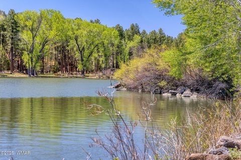 Tiny photo for XXX Larson Road, Lakeside, AZ 85929 (MLS # 256092)