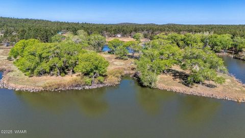 Tiny photo for XXX Larson Road, Lakeside, AZ 85929 (MLS # 256092)