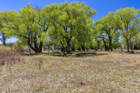 Tiny photo for XXX Larson Road, Lakeside, AZ 85929 (MLS # 256092)