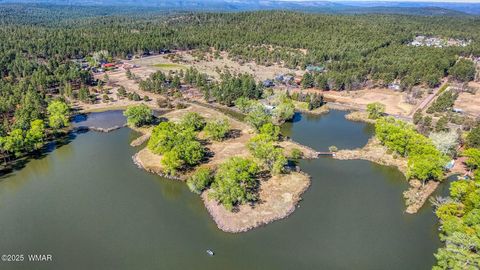 Tiny photo for XXX Larson Road, Lakeside, AZ 85929 (MLS # 256092)